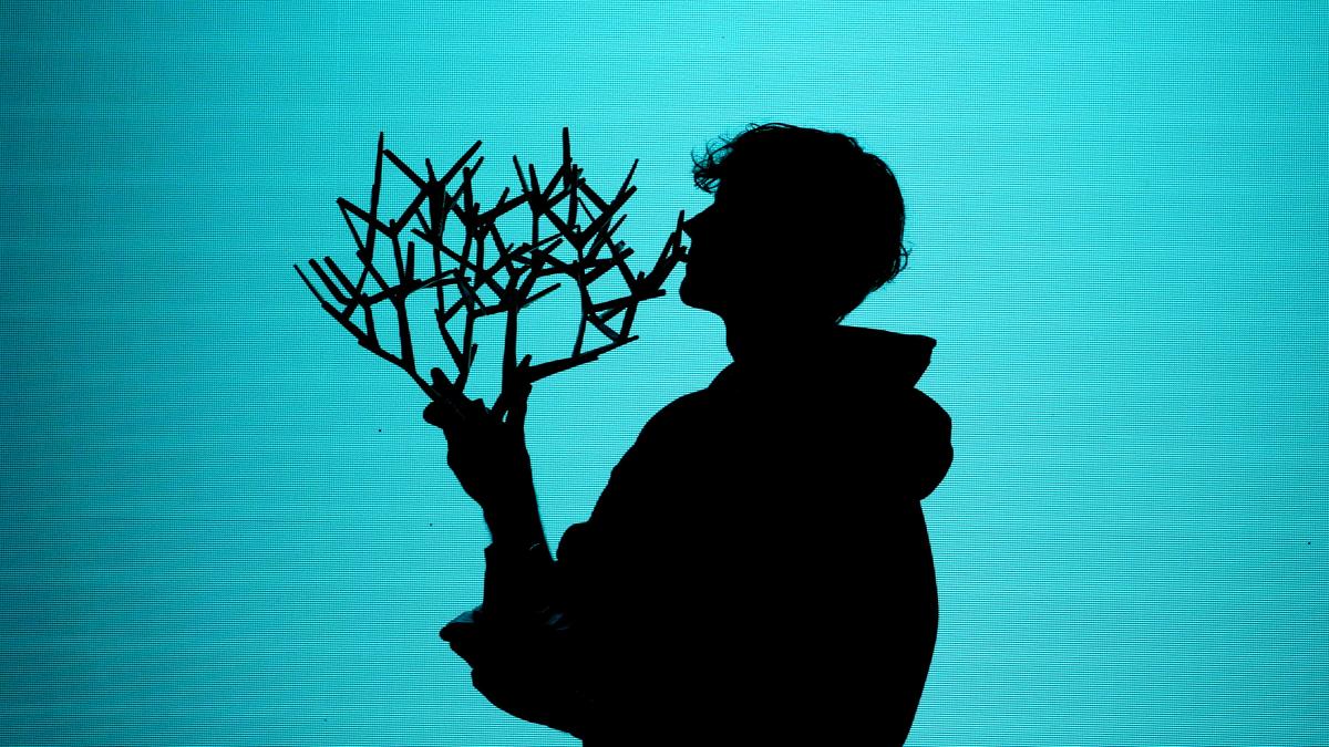 Bertolucci: "Capire i momenti, dominare i ritmi e poi dominare. La forza di Sinner"