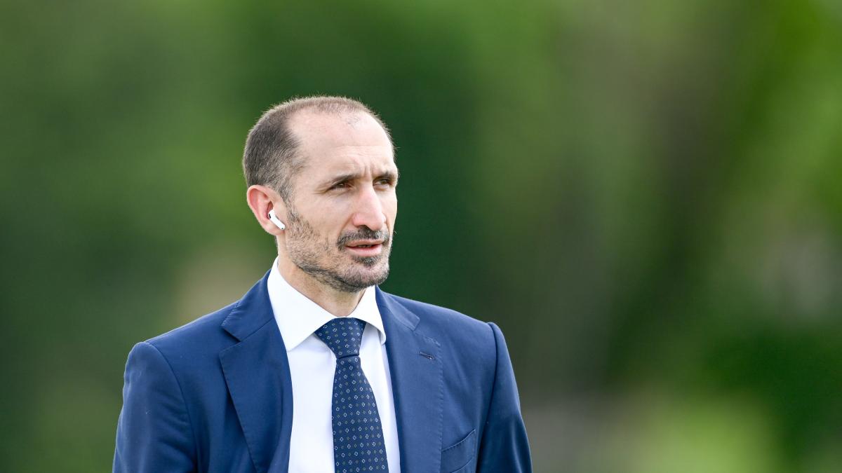 Chiellini eletto consigliere di Lega in Figc: battuti Carnevali e Sticchi Damiani