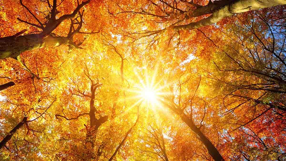 Estate di San Martino 2025: quando arriva? Le previsioni