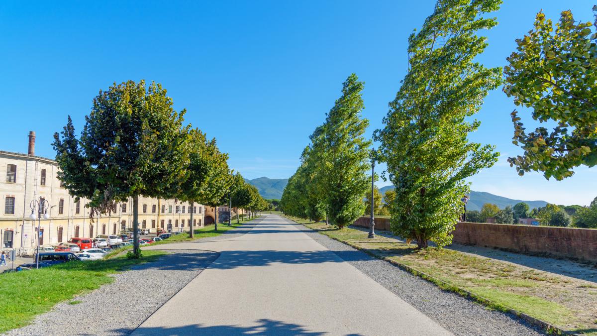 Running: i migliori itinerari in Italia, le città dove si corre di più e quelle più sicure