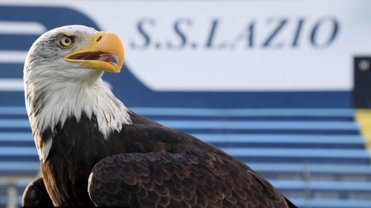 Dopo il caso protesi peniena, la Lazio ha una nuova aquila. Ma il vecchio falconiere: "È sempre Olimpia"
