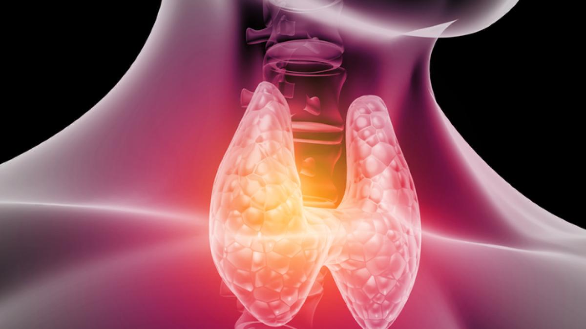 Ipotiroidismo subclinico: i sintomi borderline, come si fa la diagnosi e i rischi per la salute