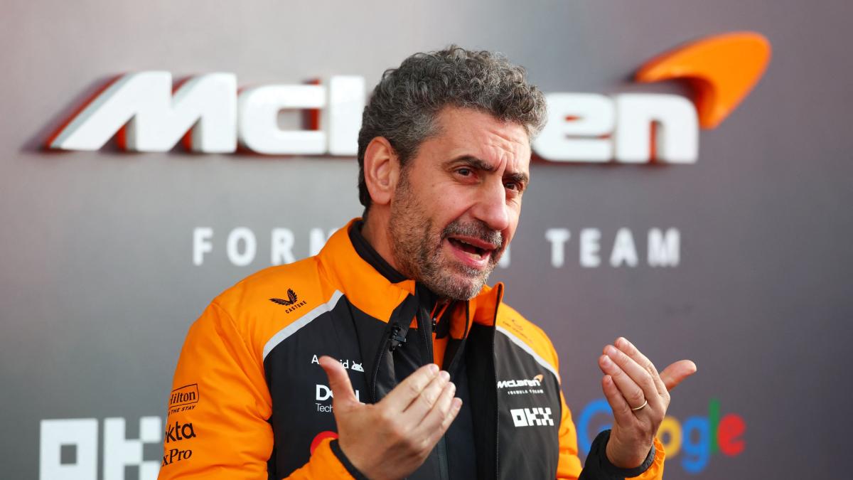 Stella: "McLaren, niente ordini di scuderia. In Qatar Piastri e Norris lotteranno per il titolo"