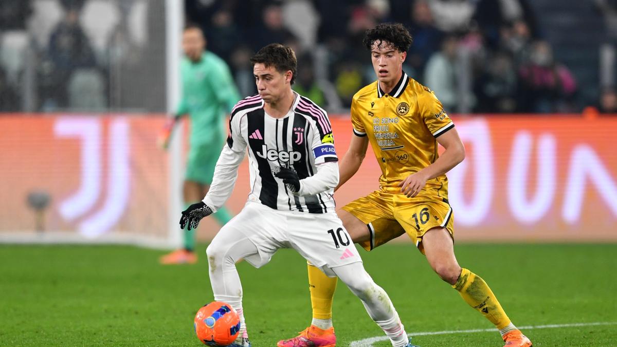 udinese il nuovo gioiello si chiama palma per runjaic 232 gi224 un titolare da Gazzetta.it udinese il nuovo gioiello si chiama palma per runjaic 232 gi224 un titolare