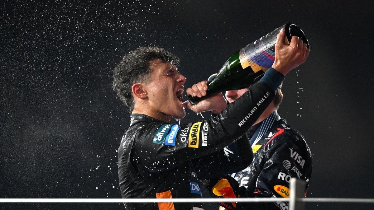 F1, le pagelle della stagione: Norris rinasce, 9. Hamilton una delusione, 5