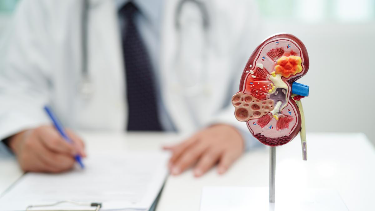 Malattia renale cronica: sintomi, cure e chi colpisce di più