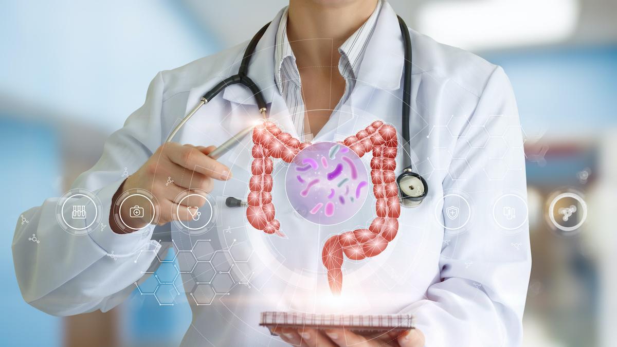 Integratori per l'intestino: quali assumere ciclicamente e qual è il modo più corretto