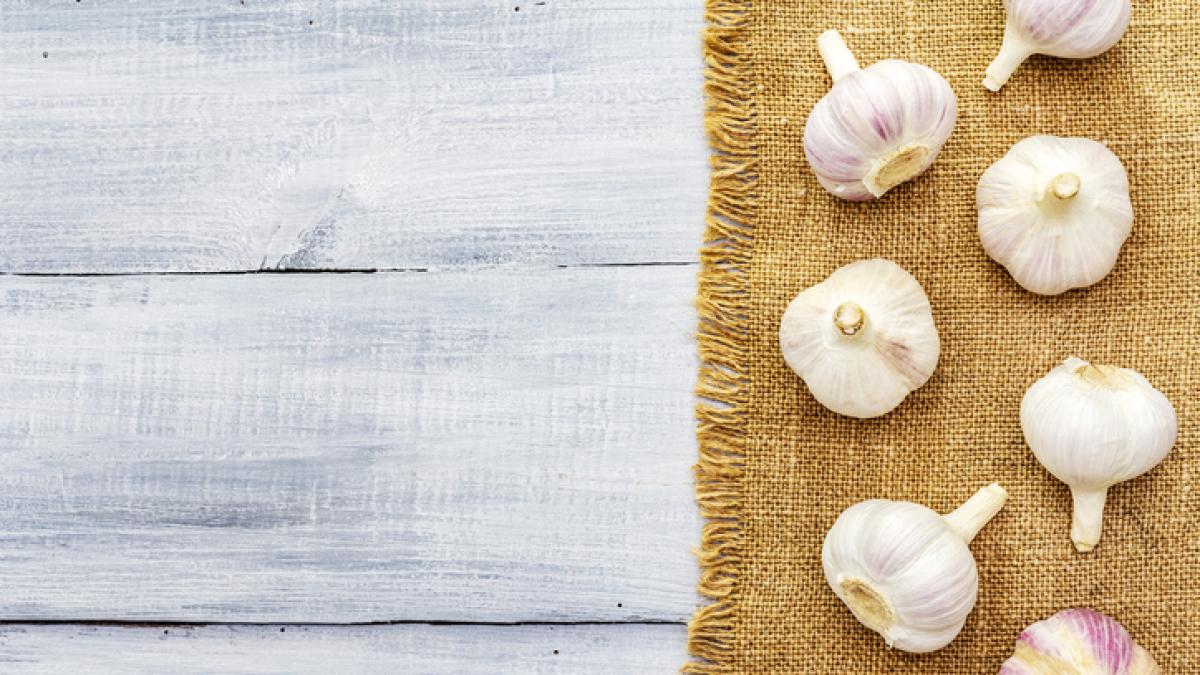 Tutti i tipi di aglio: nero, rosso, rosa, fresco. Quanti benefici!