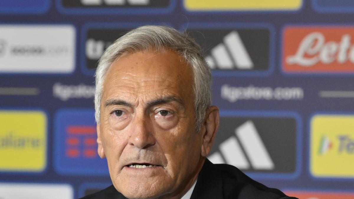 Gravina: "Perplesso per l'arbitro asiatico di Milan-Como. Allegri? Serve più educazione"