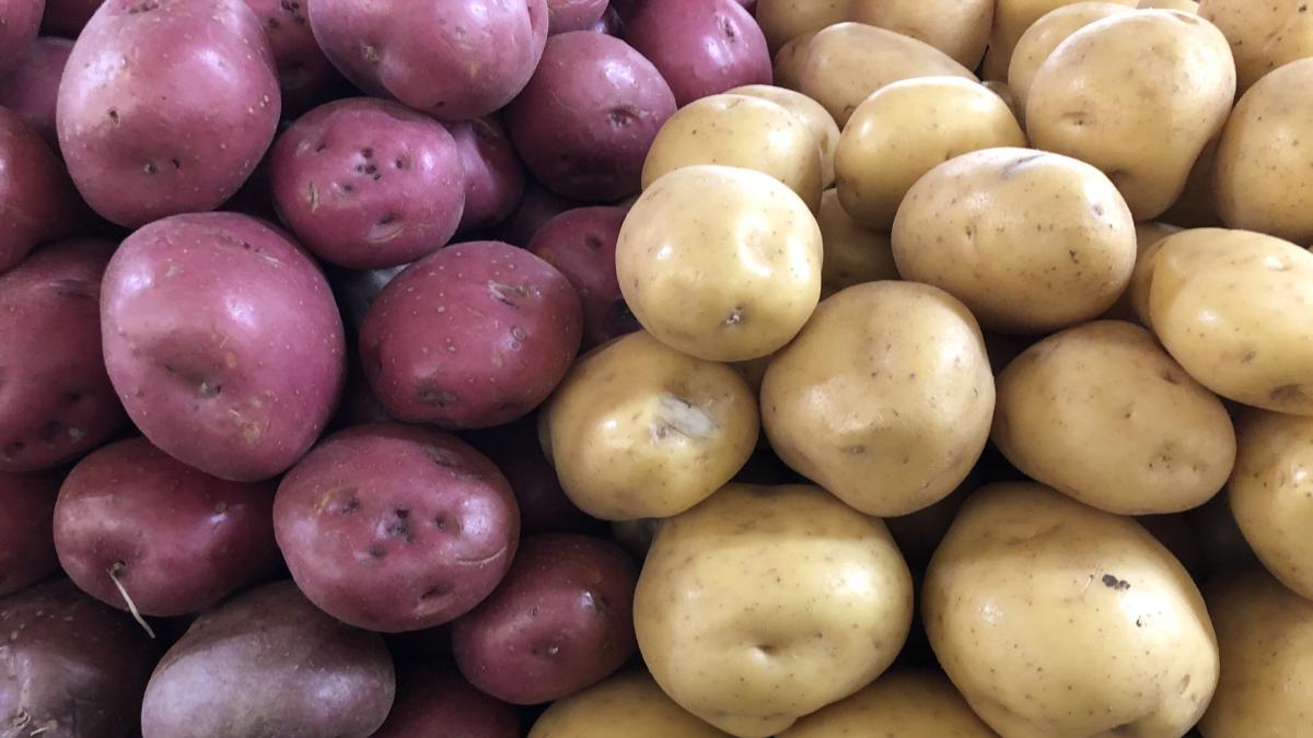 Anche le patate possono aiutare a perdere peso: ecco come mangiarle