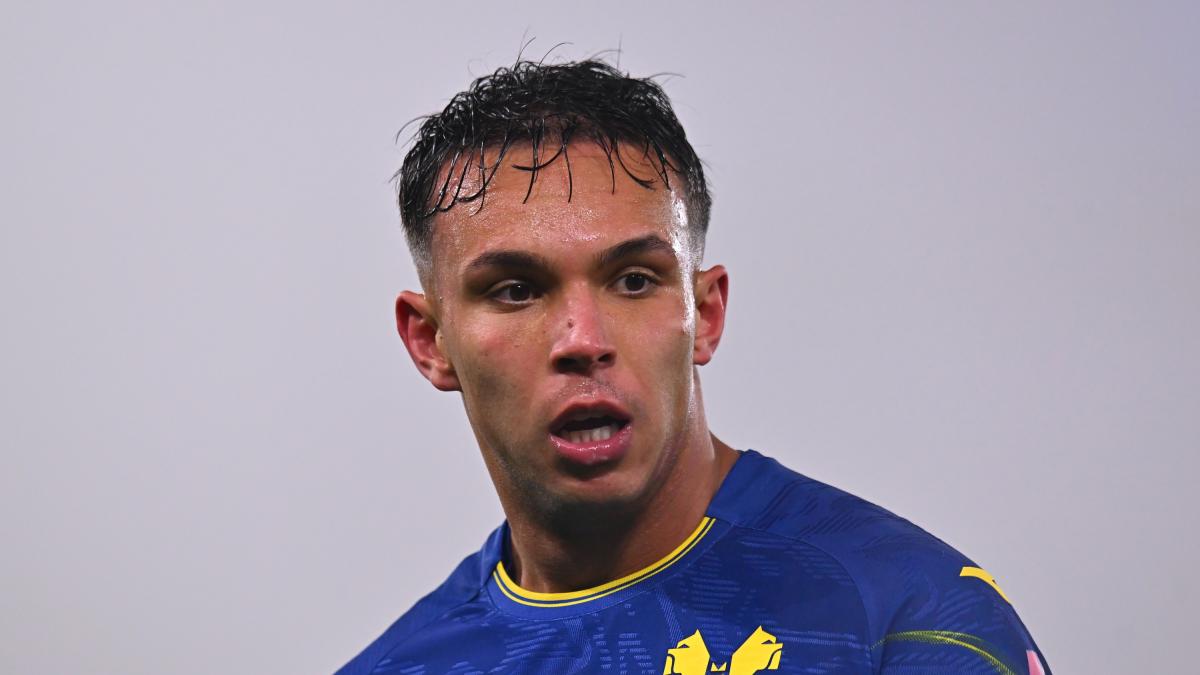 LIVE Alle 18.30 Verona-Bologna: le probabili formazioni della sfida del Bentegodi