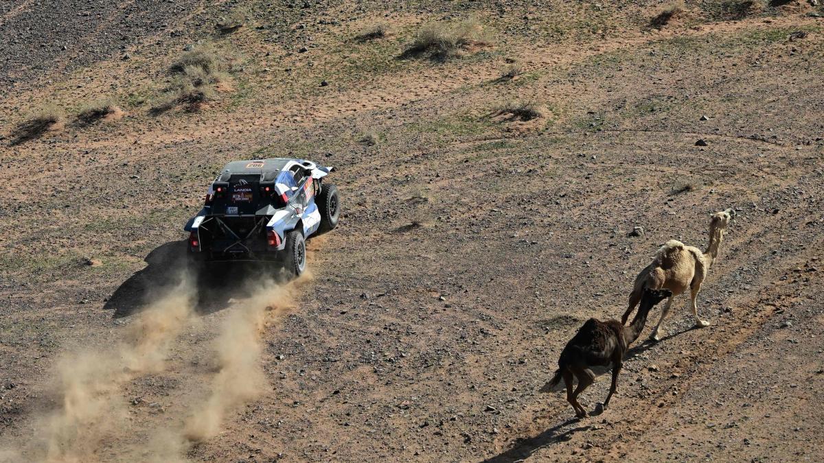 Dakar, Guthrie torna al successo tra le auto nella tappa 5. Sanders in testa nelle moto