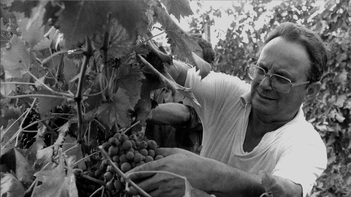 La maledetta estate in cui tutti odiavano Fabbri e lui scappò in convento