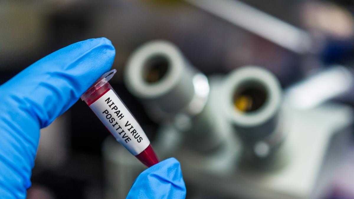 Virus Nipah: cos'è, cosa succede in India e i rischi per l'Europa
