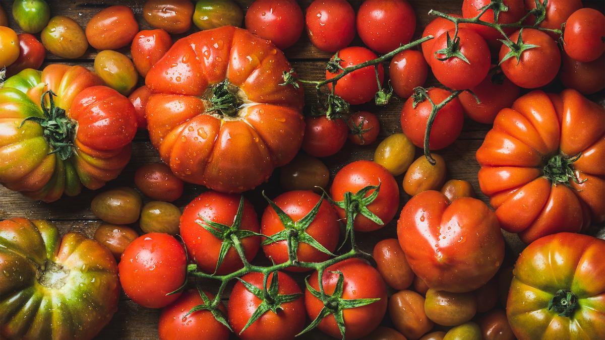 I pomodori egiziani sono sicuri? Ecco che cosa dovresti sapere...