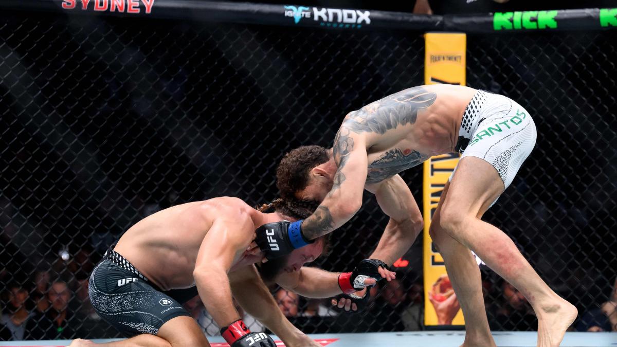 Mma, nel 2027 Torino ospiterà il primo evento Ufc in Italia