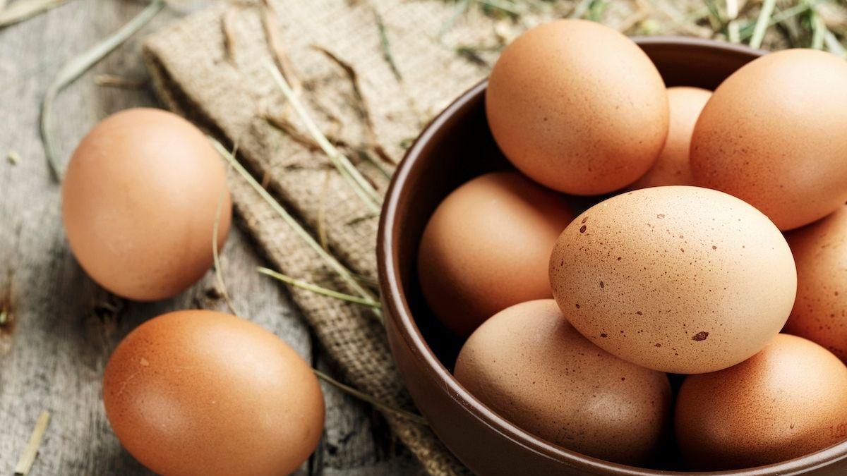 Mangiare uova ogni giorno: effetti su colesterolo e pressione secondo la scienza