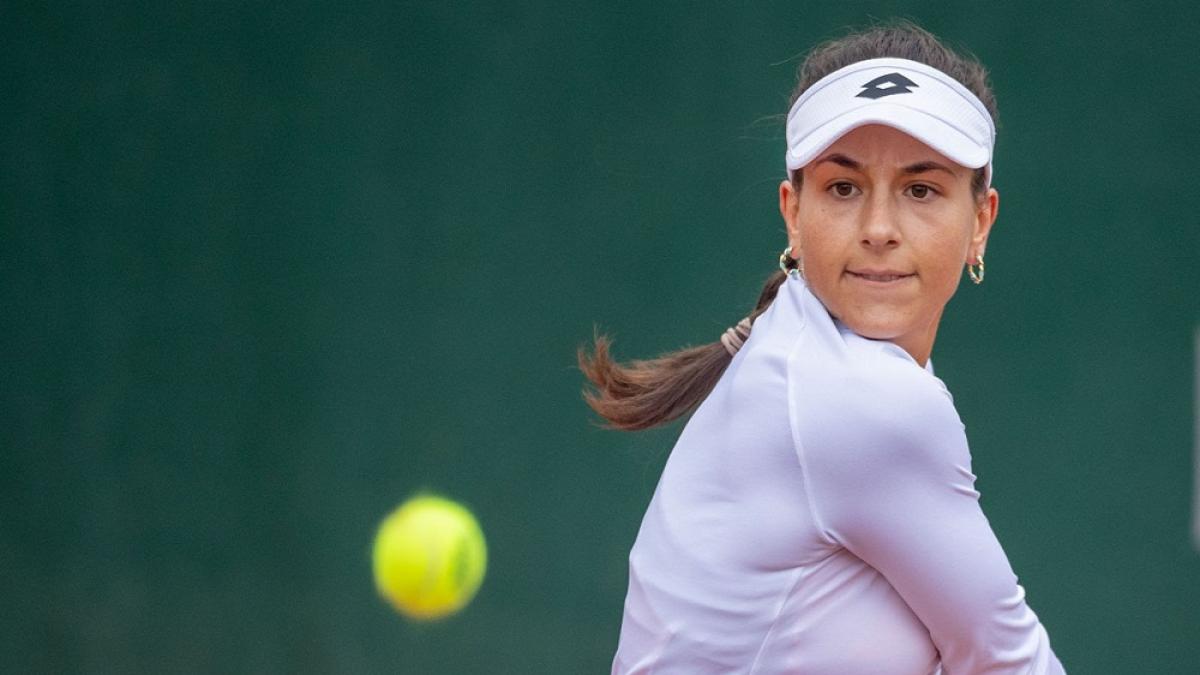 Stefanini, minacce di morte su WhatsApp: "Hanno inviato la foto di una pistola e i nomi dei miei genitori"