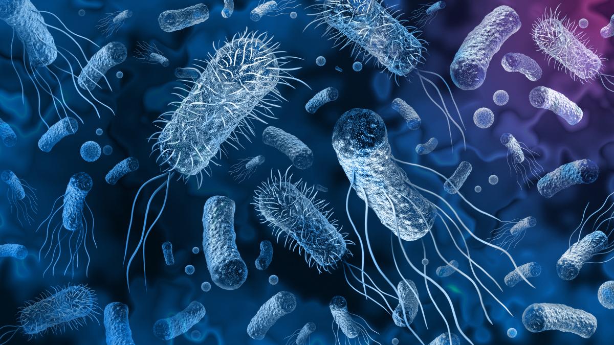Gli antibiotici possono avere effetti negativi sul microbioma per anni