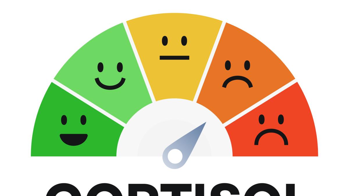 Cortisolo alto? 5 sintomi da non trascurare e quando rivolgersi a un medico