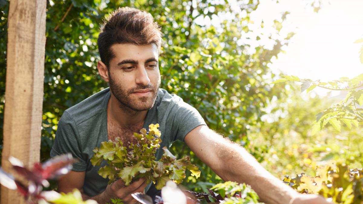 Presto i medici potrebbero prescrivere una visita a un giardino botanico