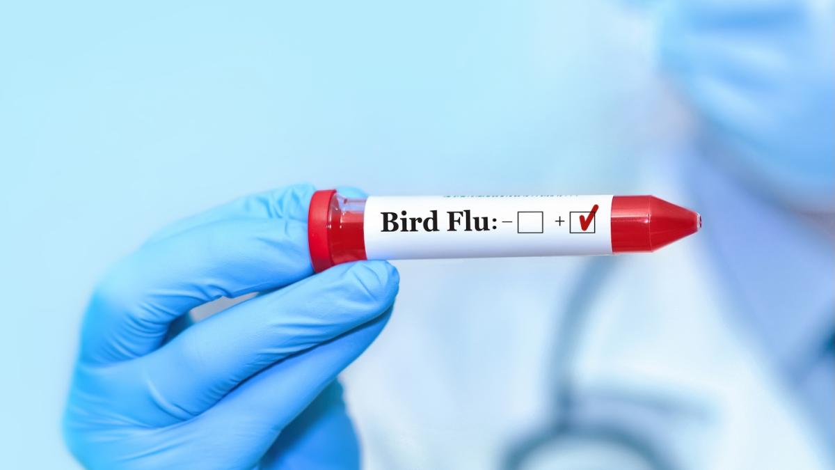 Influenza aviaria in Lombardia: il primo contagio umano in Italia. Quali rischi ci sono?