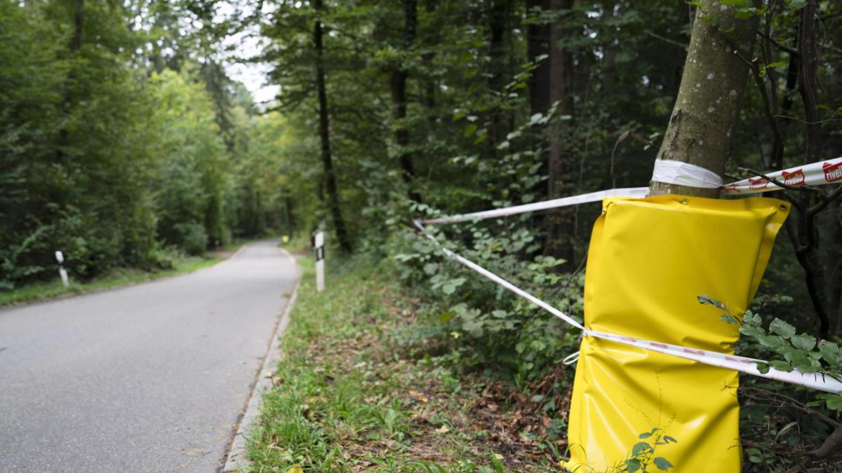 Mondiali di Zurigo 2024, chiuse le indagini sulla morte di Muriel Furrer: "Incidente di gara"