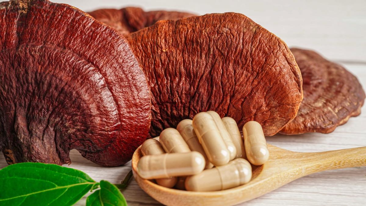 Integratori a base di funghi: pro e contro nel cambio di stagione