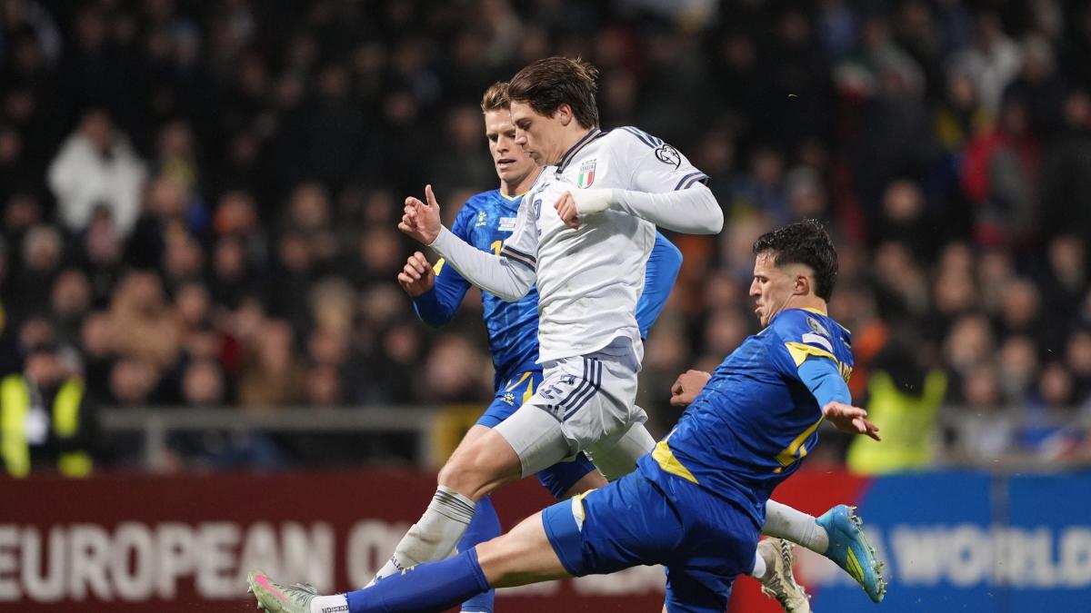 Nazionale, e ora da chi si riparte? Palestra e Pio punti fermi, ma si punterà anche su...