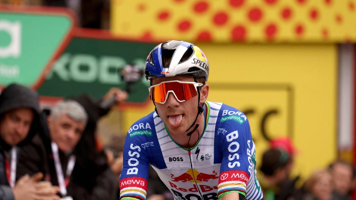 Sorpresa Evenepoel: parteciperà al Giro delle Fiandre