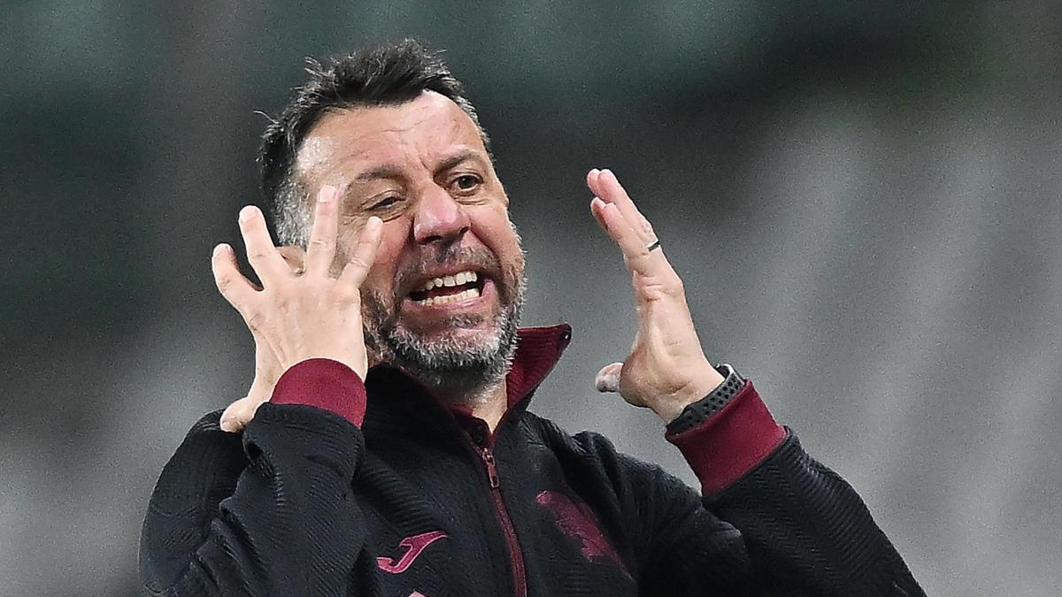 D'Aversa: "Toro, a Pisa dobbiamo iniziare a cambiare marcia anche in trasferta"