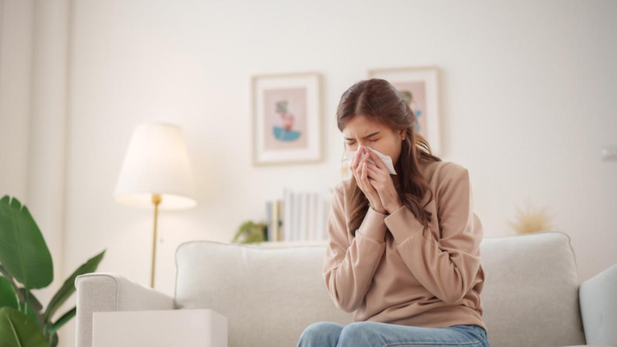 Allergia agli acari: il decalogo per tenerla a bada