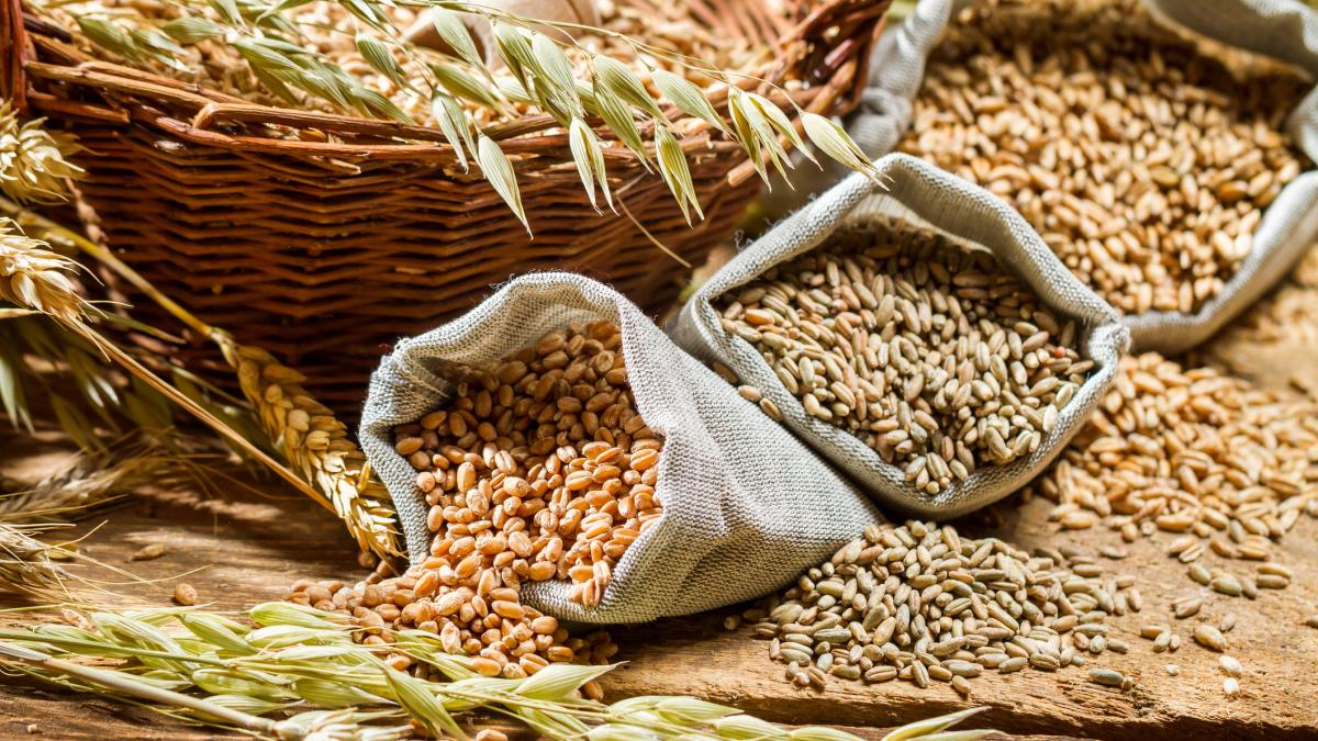 Carboidrati più ricchi di fibre: quali sono e quanti assumer