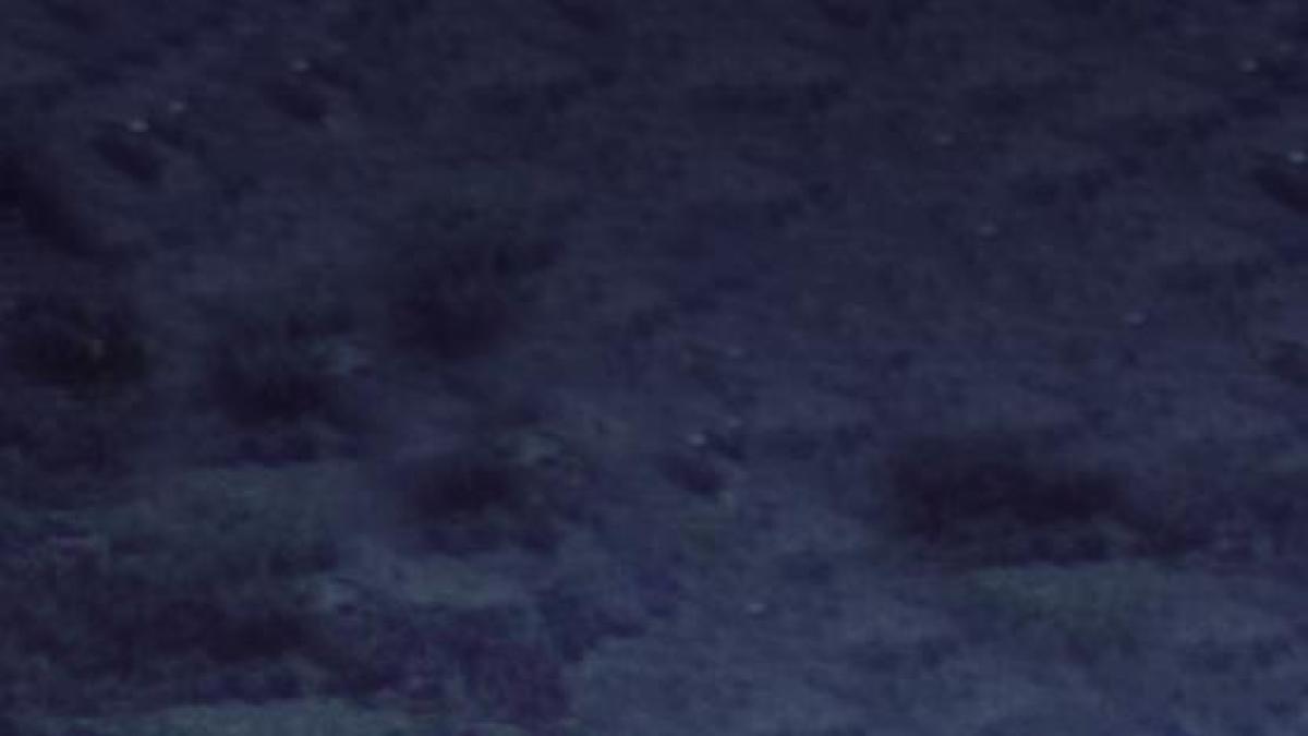 Bergamo e il Lombardia, a ottobre un weekend di grande ciclismo