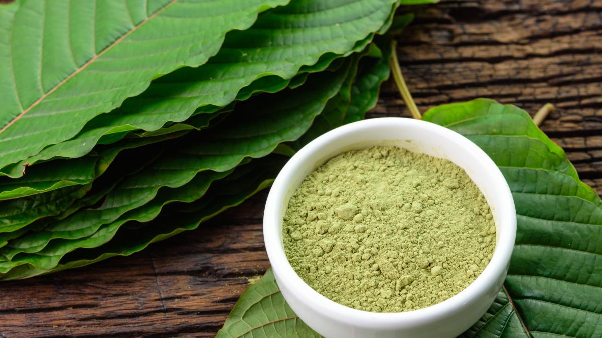 Kratom: cos'è la nuova droga che impazza negli Stati Uniti e quali sono i rischi