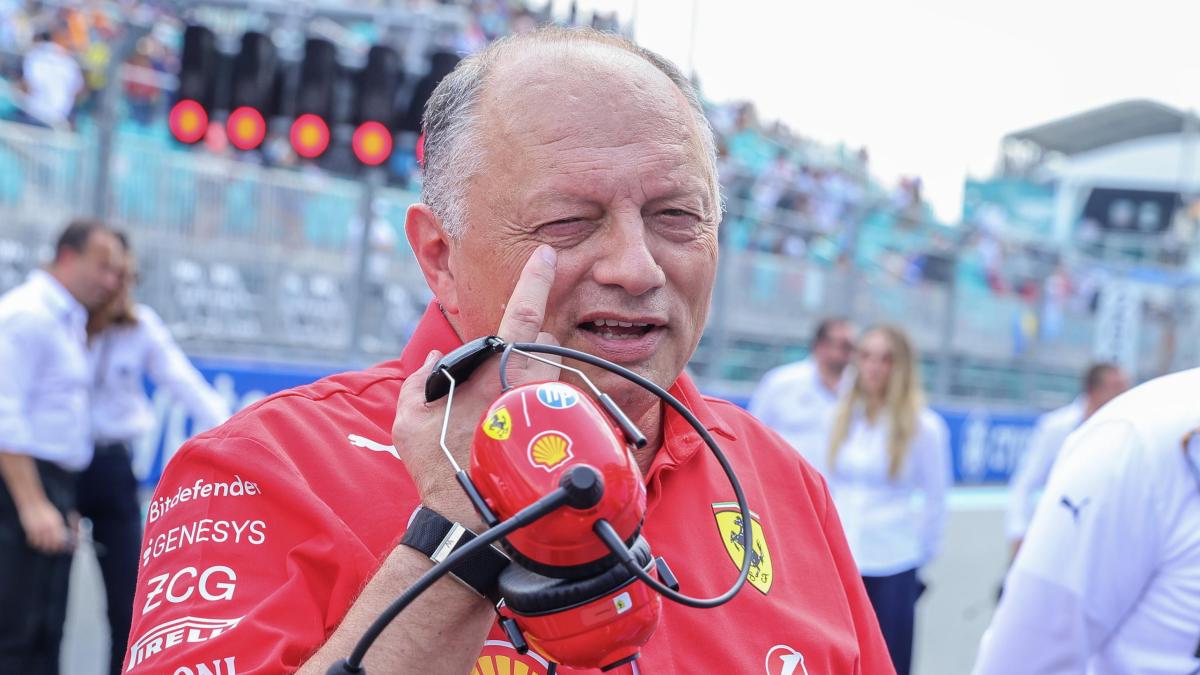 La torta in faccia all'ingegnere, Vasseur star a ping pong e... Gp di Miami, le 5 cose che vi sono sfuggite
