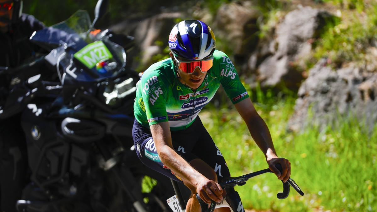 Giro d’Italia, ecco la Red Bull per Pellizzari: ci sono Hindley e Vlasov