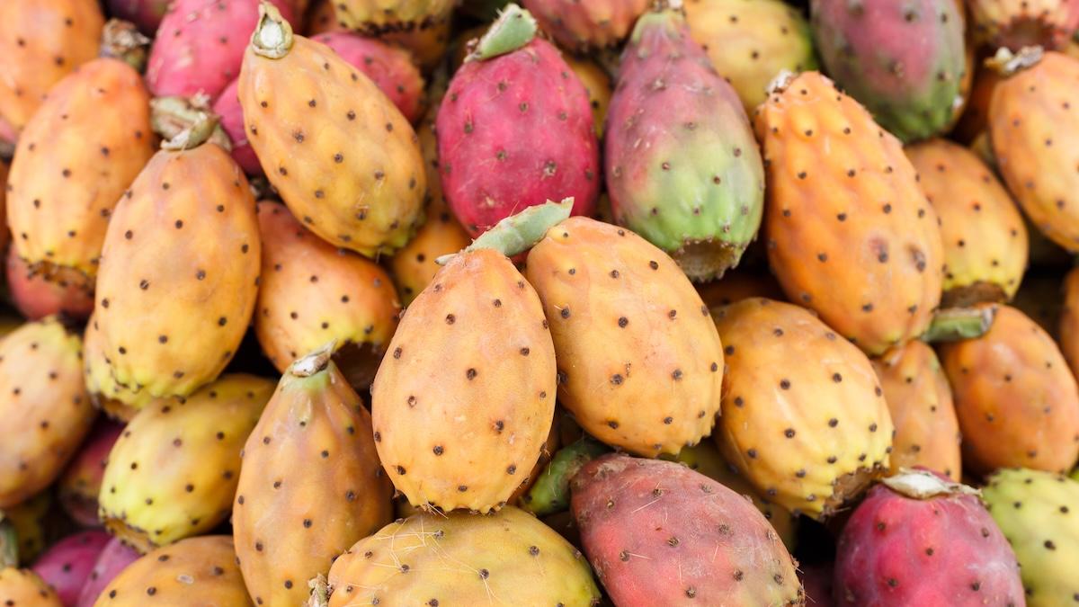 Fichi d’India contro diabete e colesterolo: cosa dice la scienza