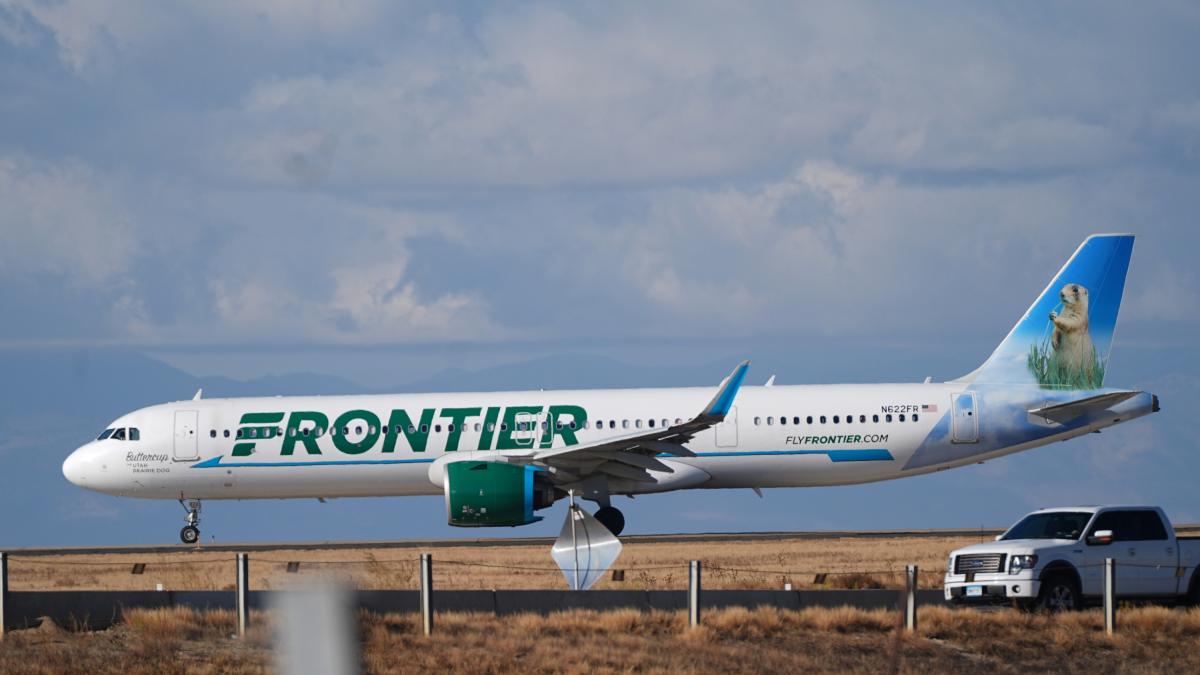 Aereo di linea investe una persona in pista