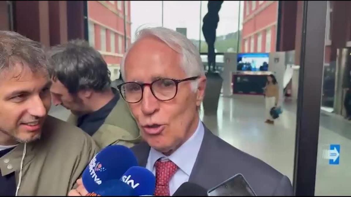 Ineleggibilità Malagò, il Collegio garanzia del Coni: "Decis
