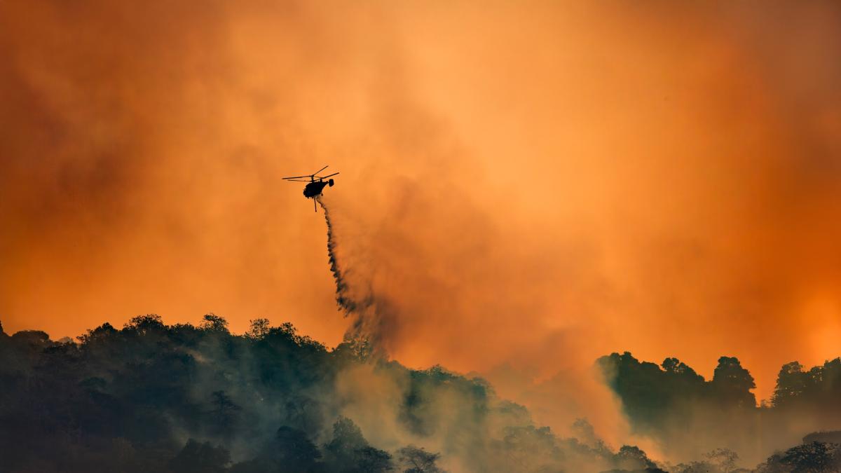 perch233 il cambiamento climatico 232 un emergenza sanitaria secondo l oms da Gazzetta.it perch233 il cambiamento climatico 232 un emergenza sanitaria secondo l oms