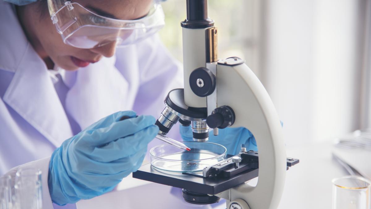 Tumori: un integratore molto comune rafforza le difese contro il cancro. Lo studio