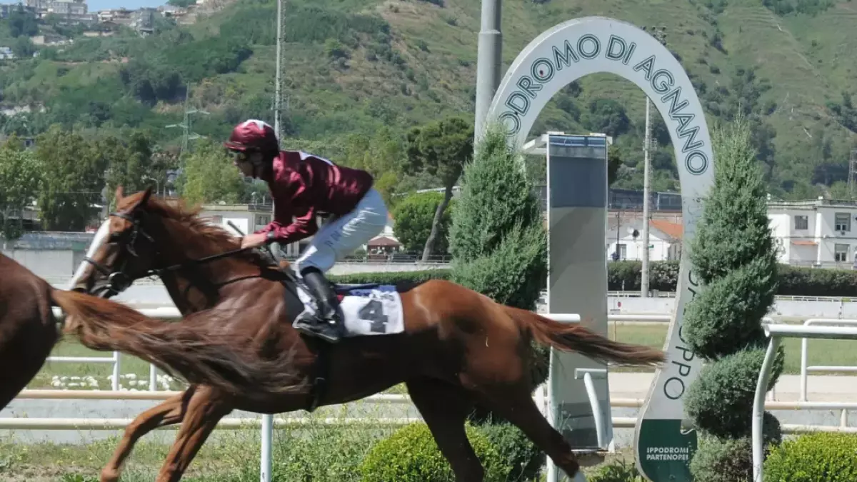 prima di allegri a napoli 232 arrivata afromisia il corto muso debutta ad agnano da Gazzetta.it prima di allegri a napoli 232 arrivata afromisia il corto muso debutta ad agnano