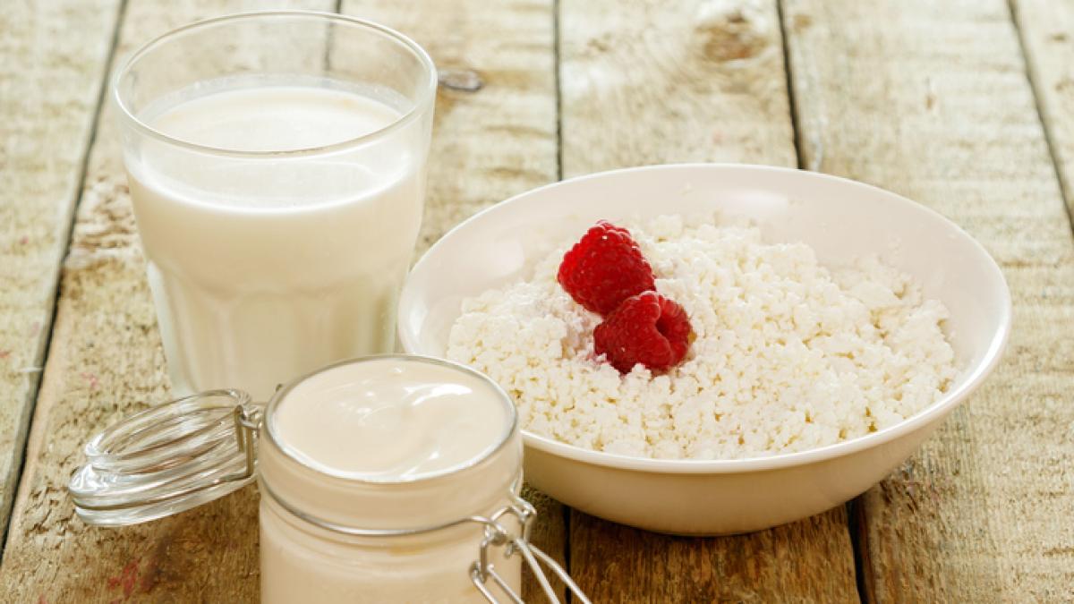 Latticini d'estate: 6 ricette leggere con yogurt, ricotta e kefir