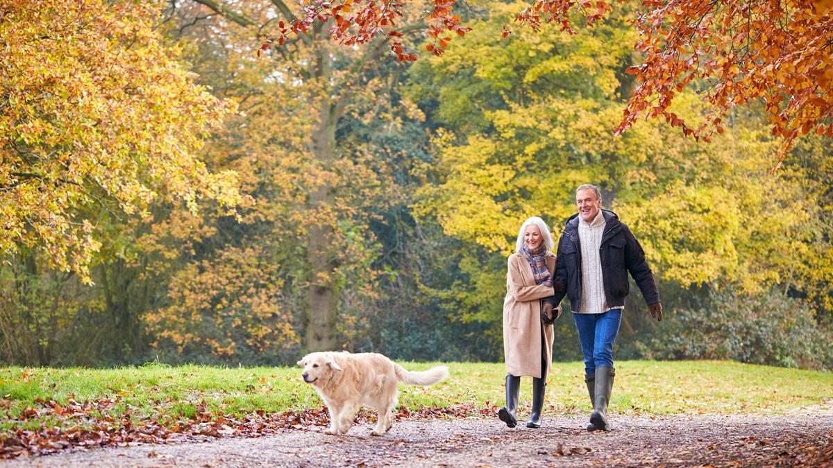 l orario migliore per camminare se vuoi abbassare la pressione arteriosa da Gazzetta.it l orario migliore per camminare se vuoi abbassare la pressione arteriosa