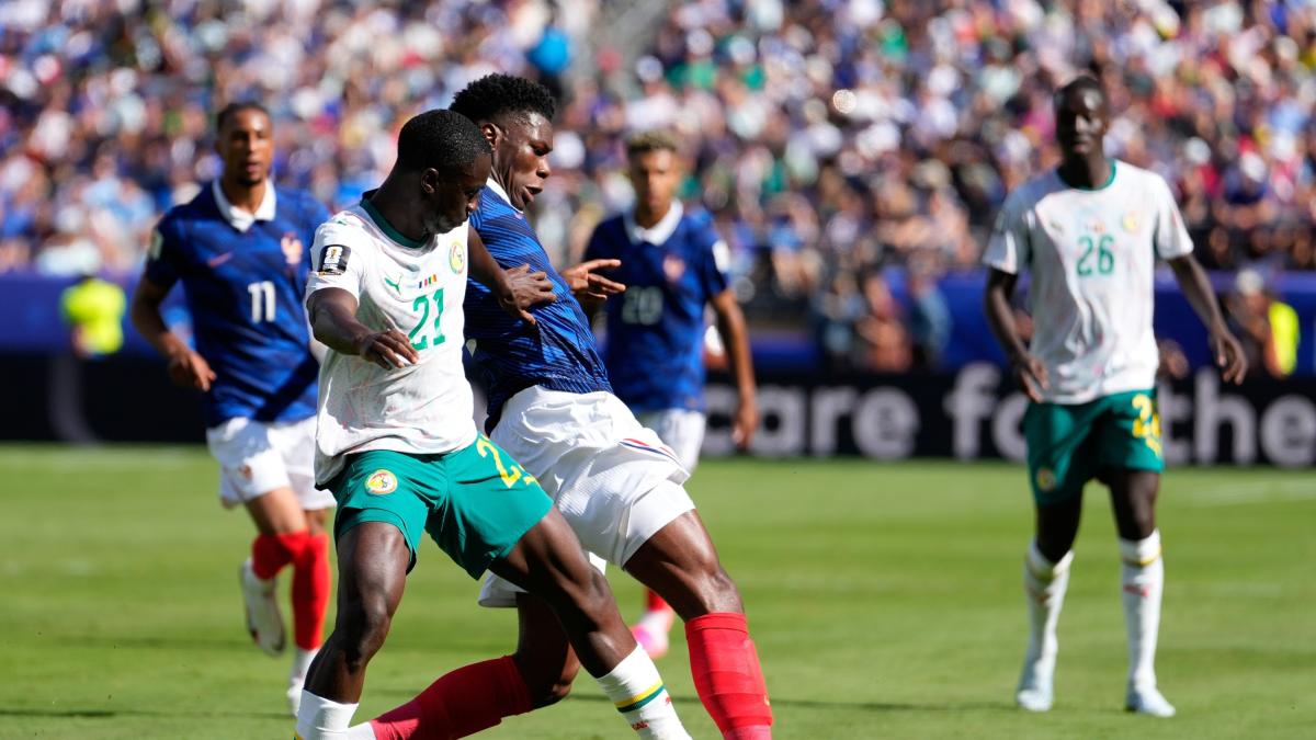 “Sarà l'Africa che batte l'Africa”: bufera sulle parole del presidente della Camera del Senegal