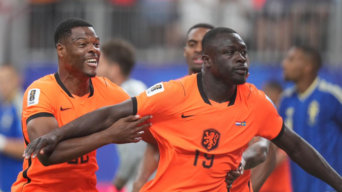 Olanda-Svezia, le pagelle: Brobbey, doppietta d'autore, 7,5. Hien, serataccia: 4,5