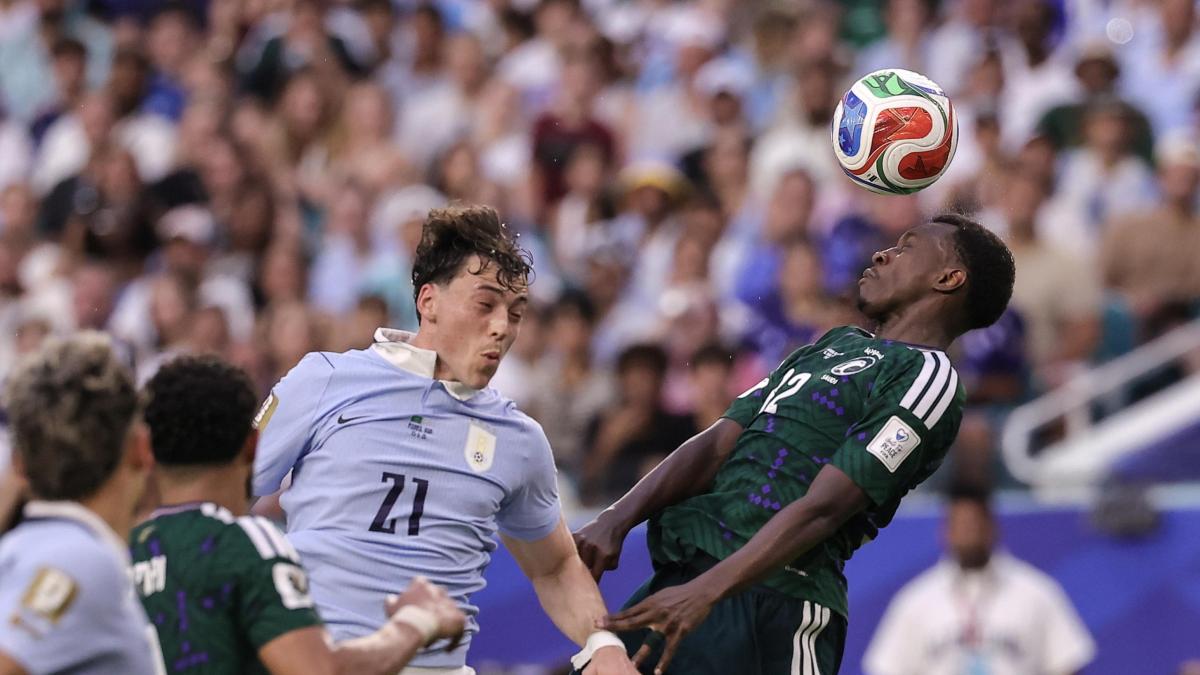 LIVE A mezzanotte Uruguay-Capo Verde, le ufficiali: Bielsa con Ugarte, panchina per Núñez
