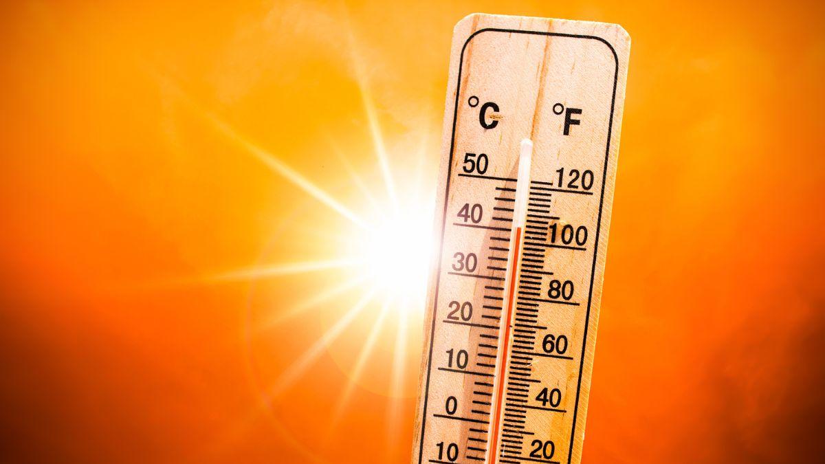 italia emergenza caldo 15 citt224 da bollino rosso picchi fino a 39 gradi da Gazzetta.it italia emergenza caldo 15 citt224 da bollino rosso picchi fino a 39 gradi