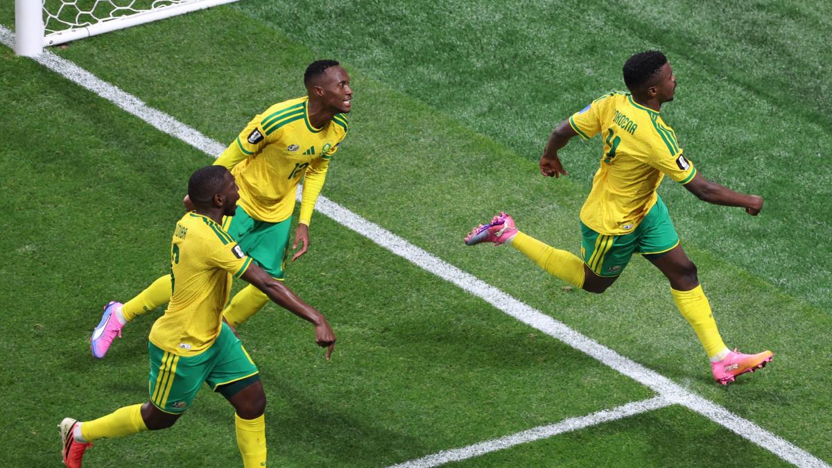 Sudafrica, stavolta le vuvuzelas suonano a festa. I segreti della sorpresa del Mondiale